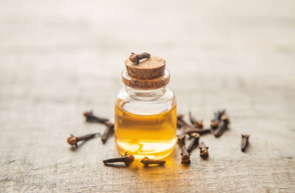روغن میخک